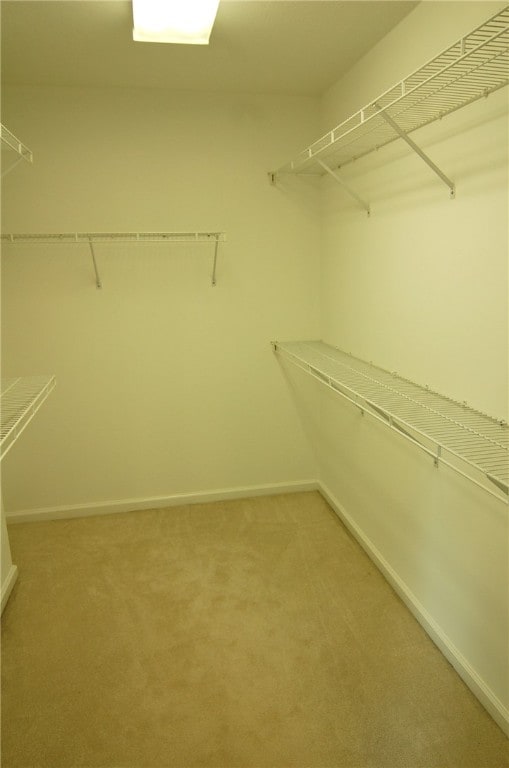 walk in closet featuring carpet floors