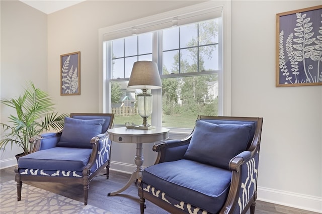 sitting room featuring hardwood / wood-style floors