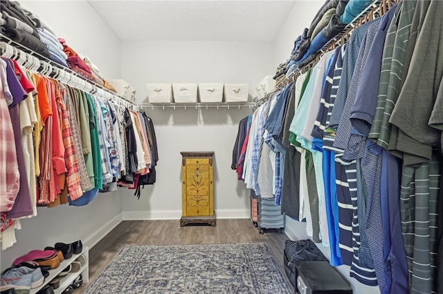 spacious closet featuring dark hardwood / wood-style floors