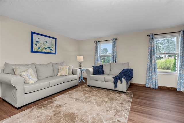 living room with hardwood / wood-style floors