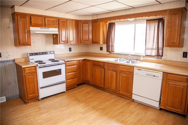 kitchen with light wood-type flooring, white appliances, sink, and a drop ceiling