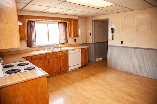 kitchen featuring light hardwood / wood-style flooring, sink, a paneled ceiling, and white dishwasher