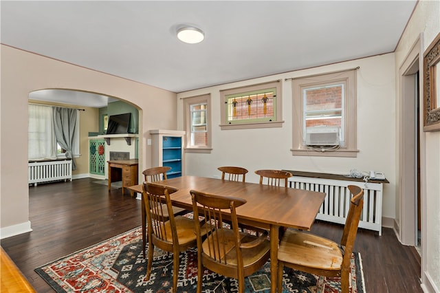 dining area with dark hardwood / wood-style floors, radiator heating unit, and a wealth of natural light