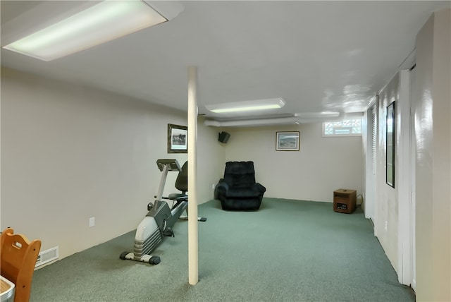 exercise area with carpet flooring