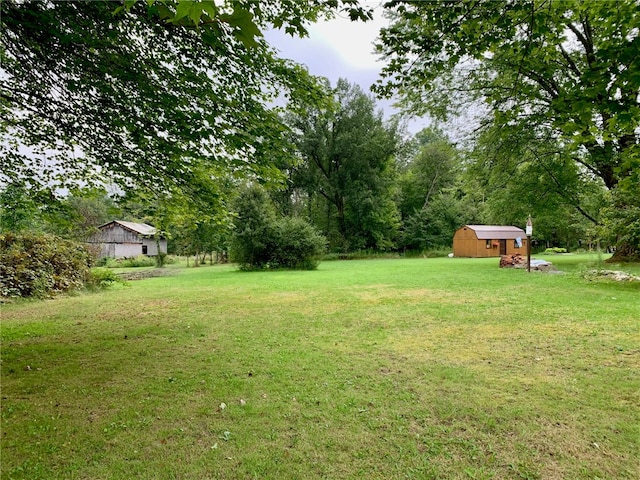 view of yard with a storage shed