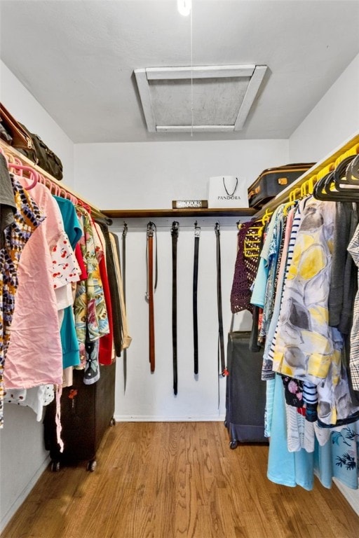 spacious closet featuring light wood-type flooring