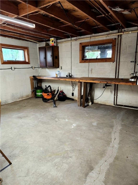 basement with a workshop area