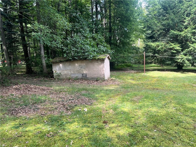 view of yard with a storage shed