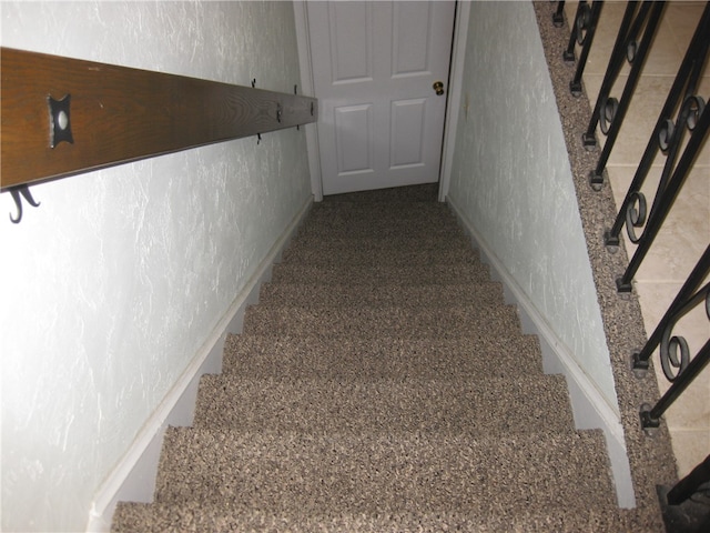 staircase featuring carpet