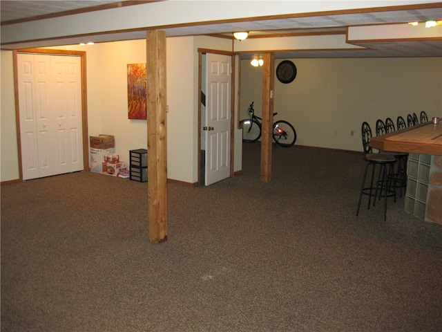 basement featuring carpet