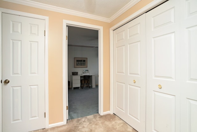 hall featuring light carpet, crown molding, and a textured ceiling