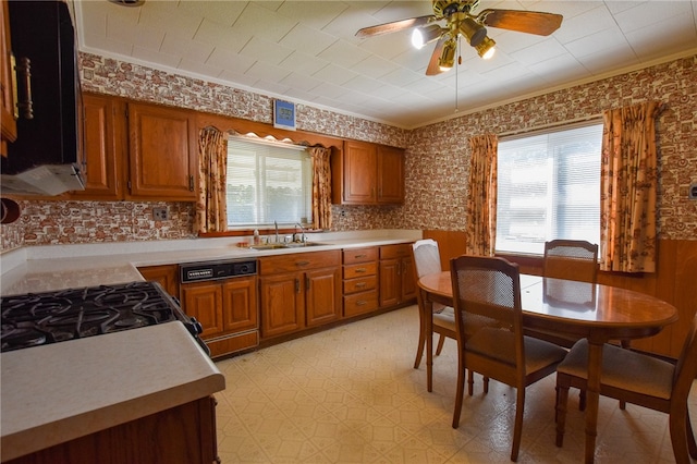 kitchen featuring ornamental molding, plenty of natural light, sink, and ceiling fan