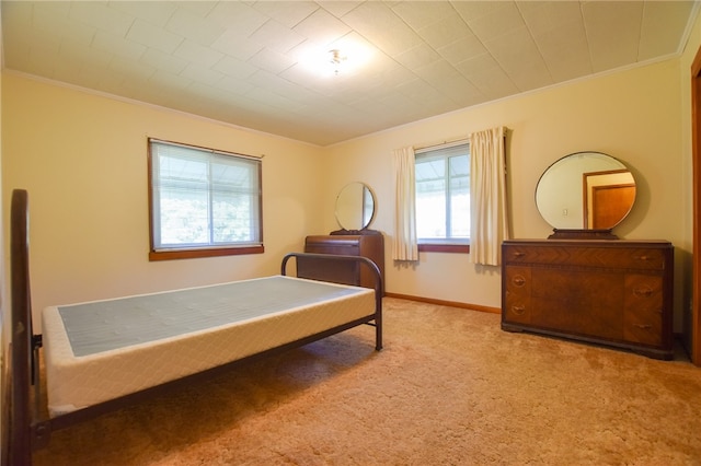 carpeted bedroom with crown molding and multiple windows