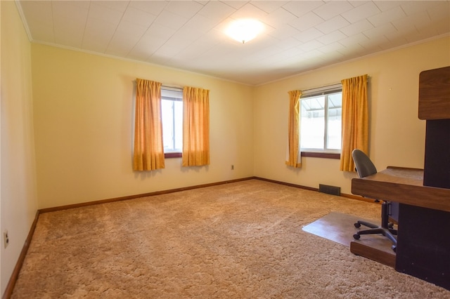 unfurnished office featuring carpet and ornamental molding