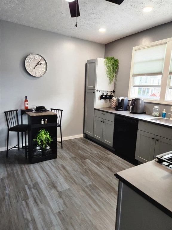 kitchen featuring black dishwasher, hardwood / wood-style floors, ceiling fan, and gray cabinetry