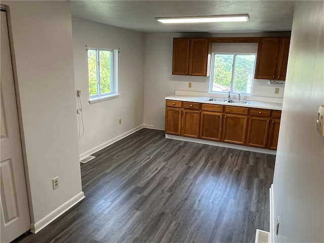 kitchen with a healthy amount of sunlight, dark hardwood / wood-style floors, and sink