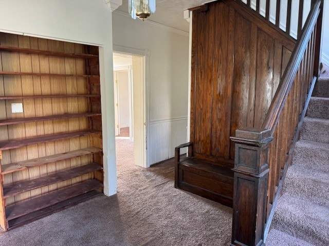 stairway featuring carpet flooring and crown molding