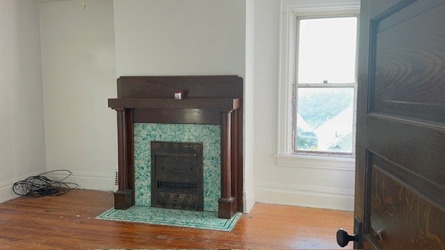 interior details with hardwood / wood-style flooring and a fireplace