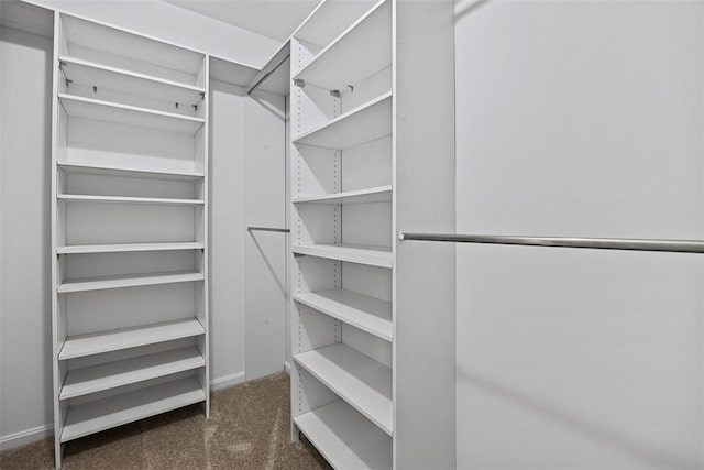 6840 Kevin Dr, Bethel Park, PA 15102 - walk in closet with carpet