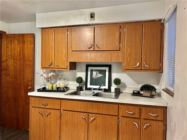 kitchen featuring hardwood / wood-style flooring and sink