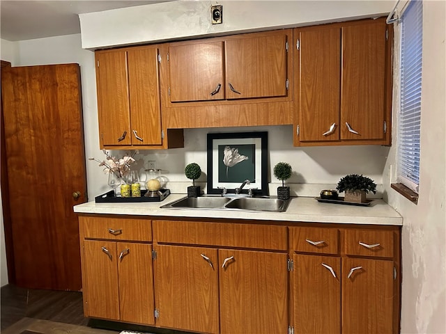 kitchen featuring sink and dark hardwood / wood-style flooring