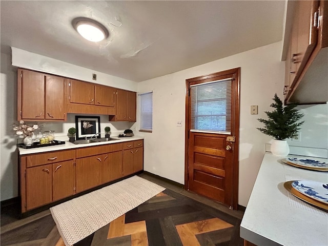 kitchen with dark hardwood / wood-style floors and sink