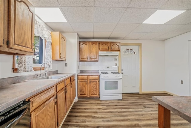 kitchen with a drop ceiling, light hardwood / wood-style flooring, gas range gas stove, sink, and stainless steel dishwasher