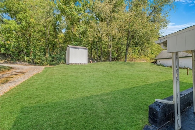 view of yard with a storage shed