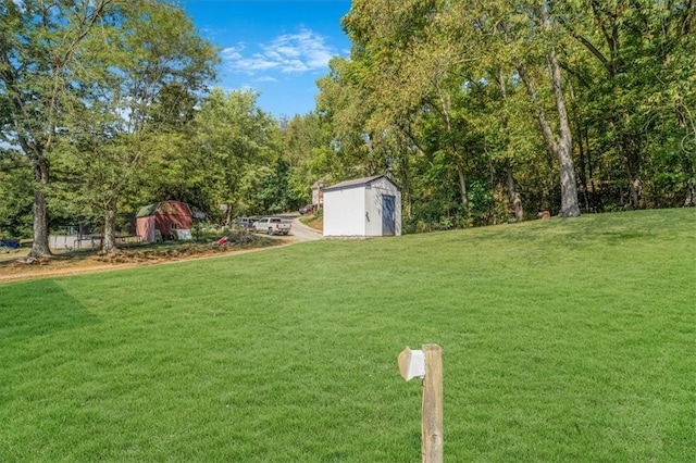 view of yard featuring a storage shed