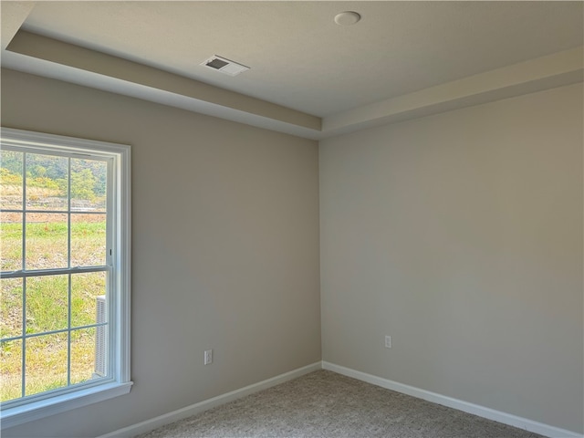 spare room featuring plenty of natural light and carpet floors