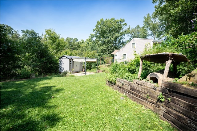 view of yard featuring a shed