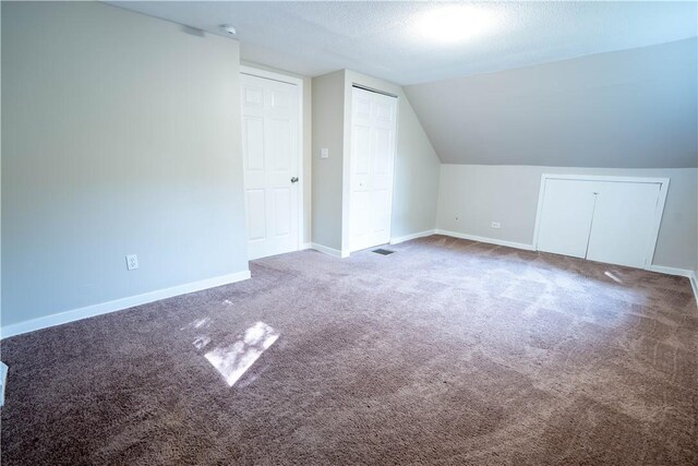 additional living space with lofted ceiling, carpet, and a textured ceiling