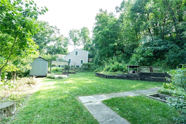 view of yard with a storage shed