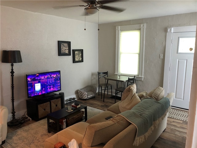 living room with ceiling fan and hardwood / wood-style flooring