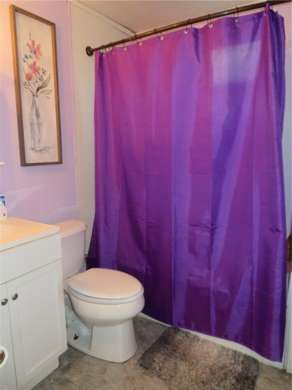 bathroom featuring vanity, toilet, and a shower with shower curtain