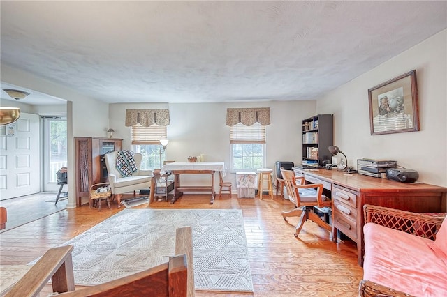 office space with light hardwood / wood-style floors