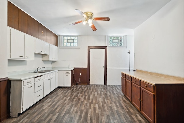 kitchen featuring dark hardwood / wood-style flooring, sink, and ceiling fan