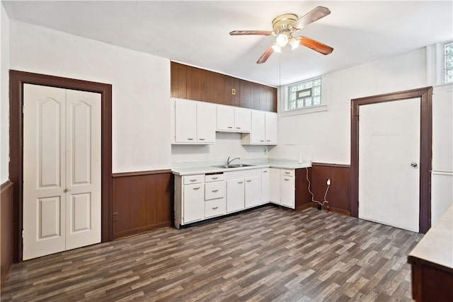 kitchen featuring a healthy amount of sunlight, sink, ceiling fan, and dark hardwood / wood-style floors