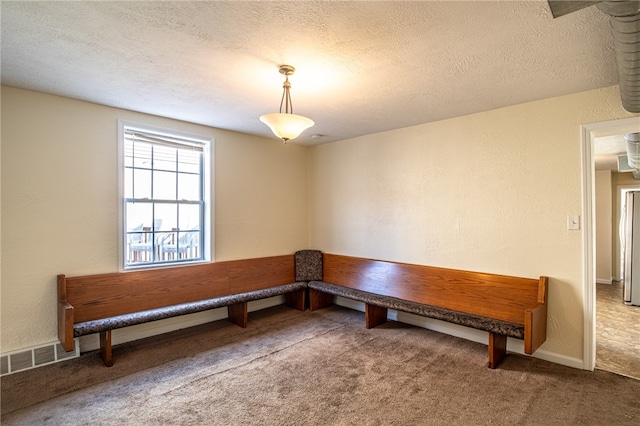 interior space with a textured ceiling and carpet