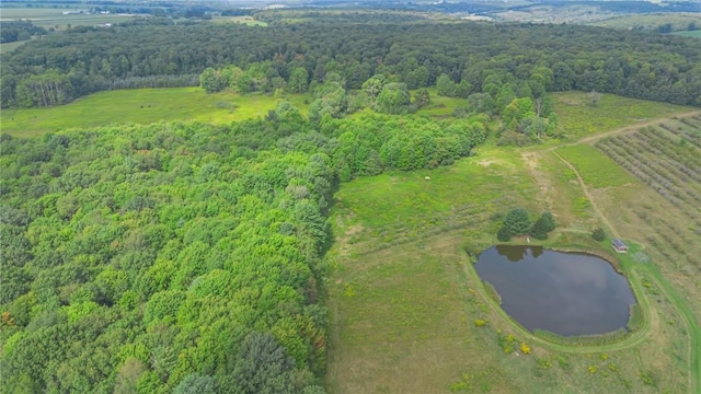 44868 Warner Rd, Pa, PA 16354 - bird's eye view of a forest and a large body of water