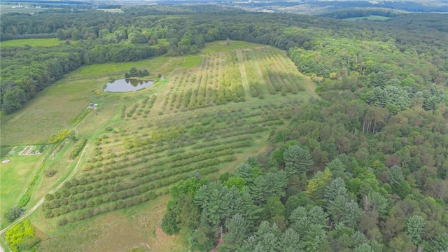 44868 Warner Rd, Pa, PA 16354 - aerial view of sparsely populated area with a forest