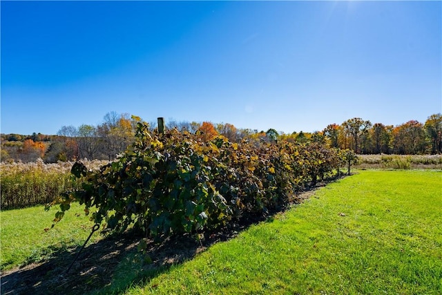 44868 Warner Rd, Pa, PA 16354 - view of green lawn