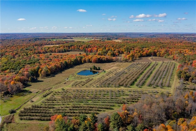 44868 Warner Rd, Pa, PA 16354 - view of rural area featuring a forest and large plots for crops