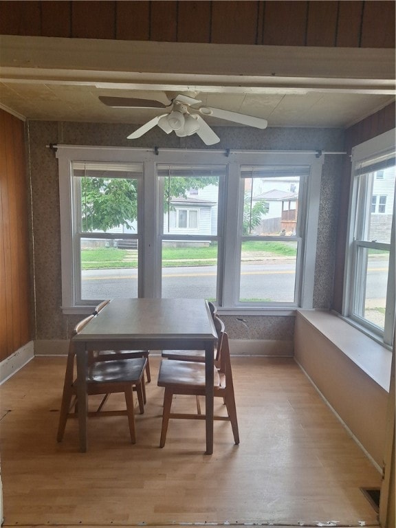 dining area with hardwood / wood-style floors, ceiling fan, and wood walls