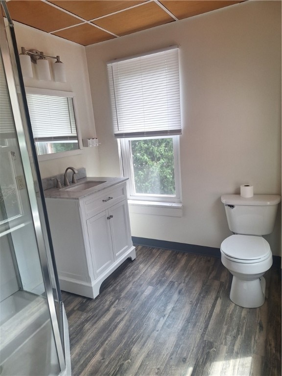 bathroom with vanity, toilet, a shower, and wood-type flooring