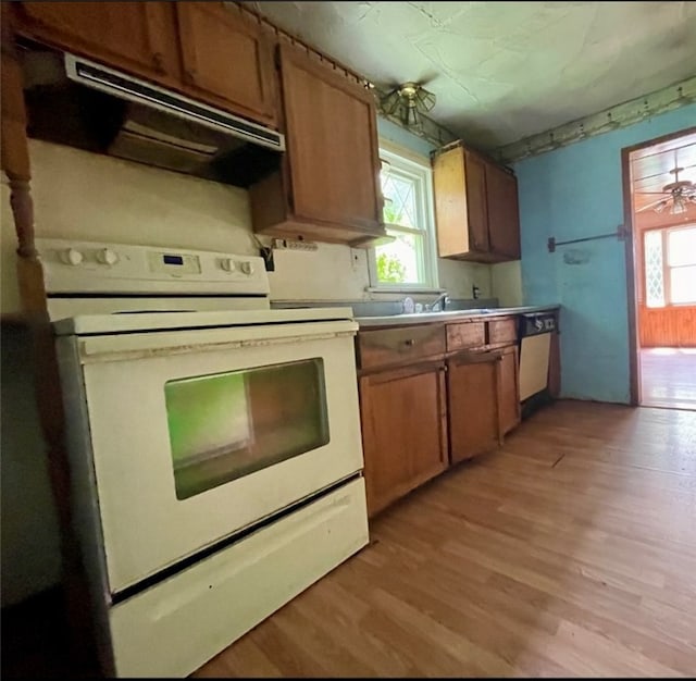 kitchen with plenty of natural light, light wood-type flooring, and white electric range