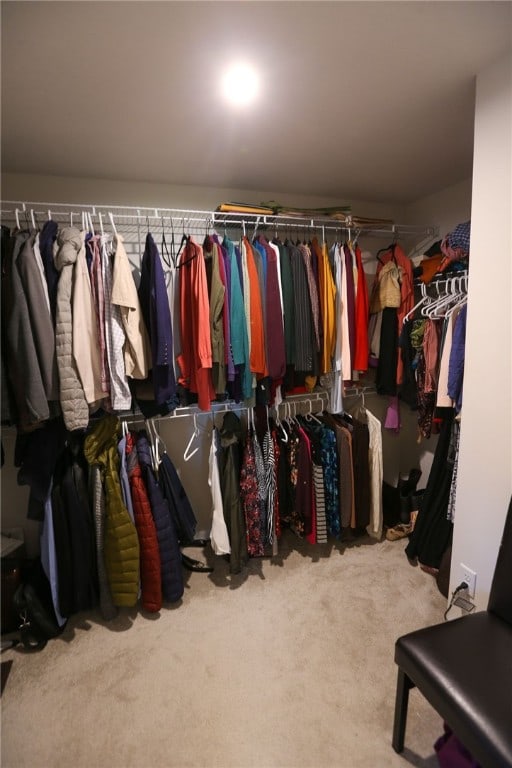 spacious closet featuring carpet flooring