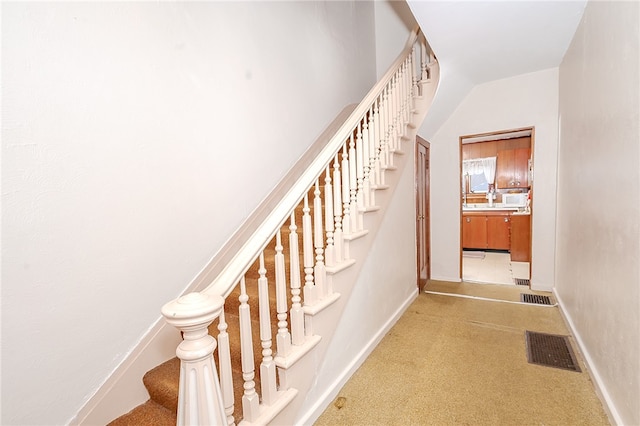 staircase with carpet floors