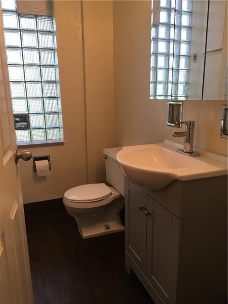 bathroom with a wealth of natural light, vanity, and toilet