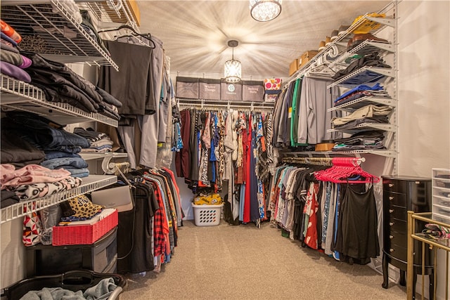 spacious closet featuring carpet floors